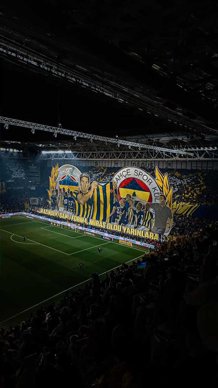 Şükrü Saraçoğlu Stadyumu